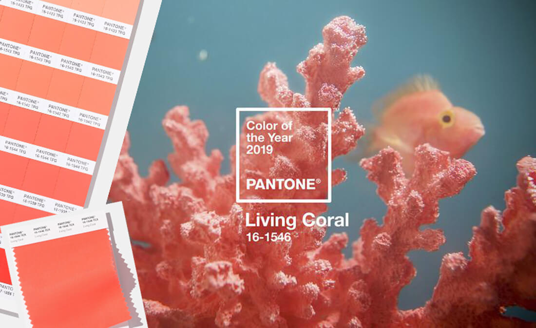 Living Coral - Color of the year 2019